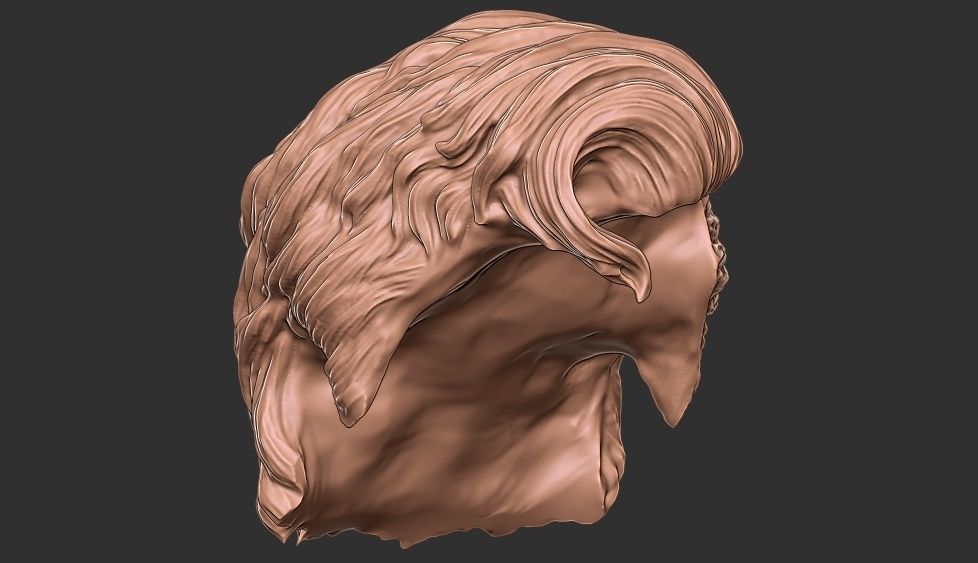 hair 35 3D print model_12