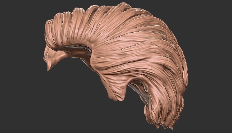 hair 35 3D print model_4