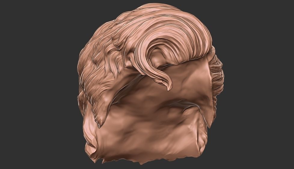 hair 35 3D print model_13