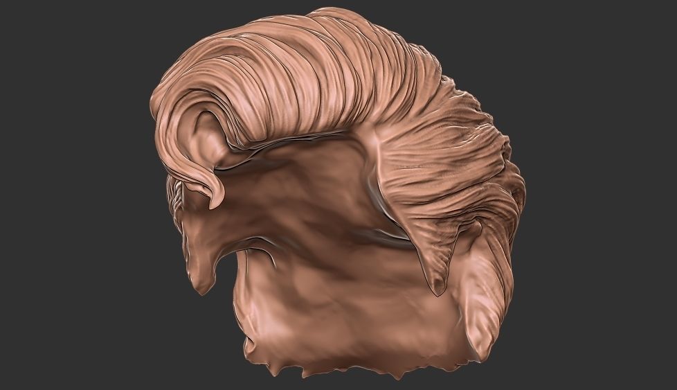hair 35 3D print model_2