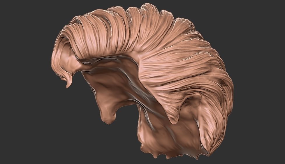 hair 35 3D print model_3