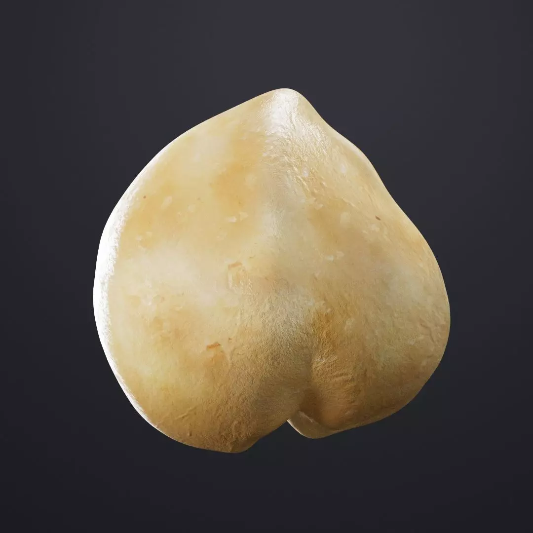 Macadamia Nut 3D model_0