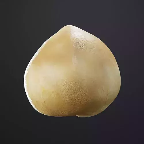 Macadamia Nut 3D model 3