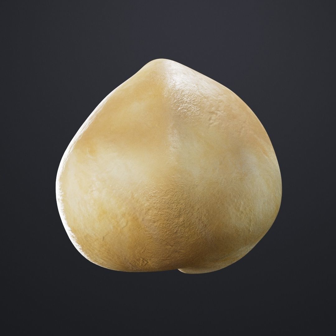 Macadamia Nut 3D model_2