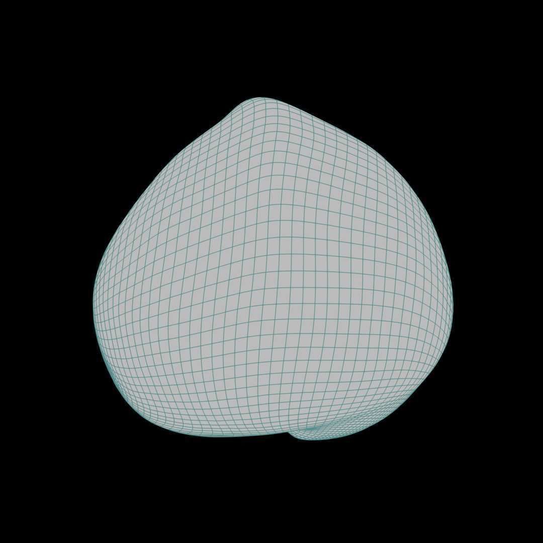 Macadamia Nut 3D model_7