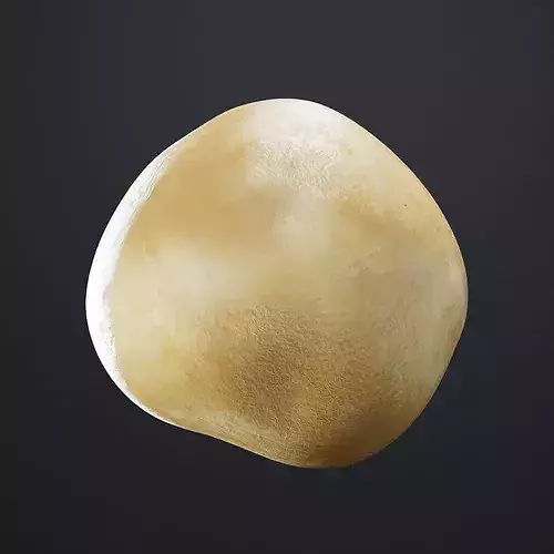 Macadamia Nut 3D model