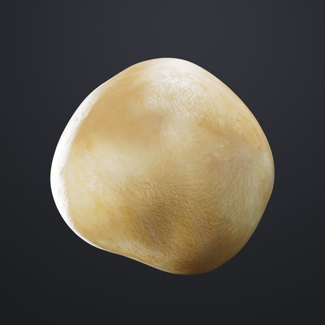 Macadamia Nut 3D model_1