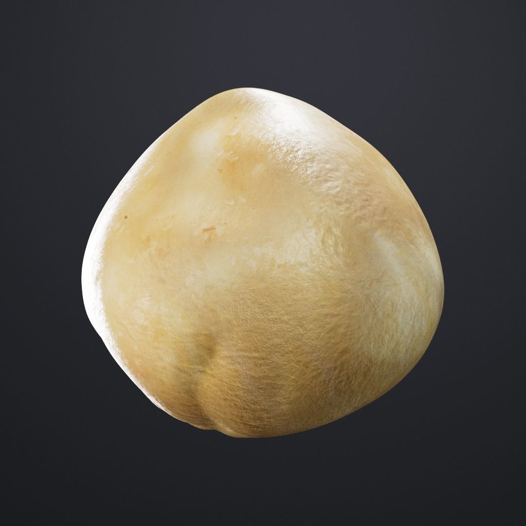 Macadamia Nut 3D model_3