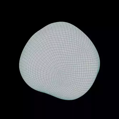 Macadamia Nut 3D model 7