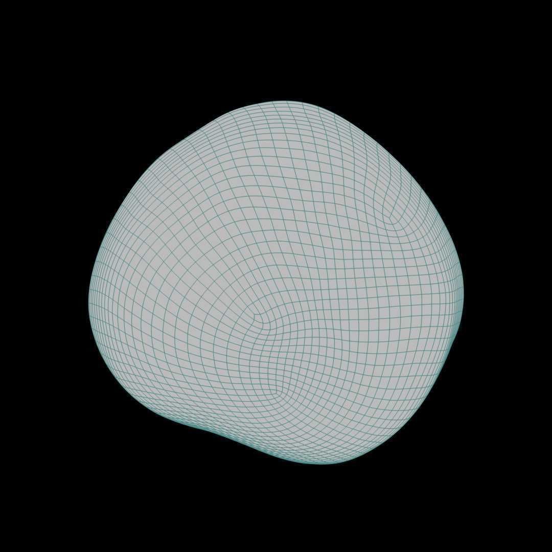 Macadamia Nut 3D model_6