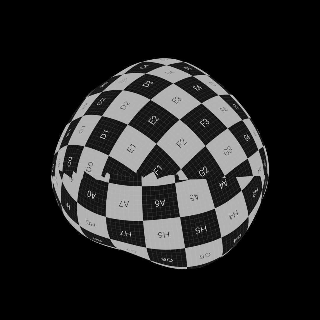 Macadamia Nut 3D model_10