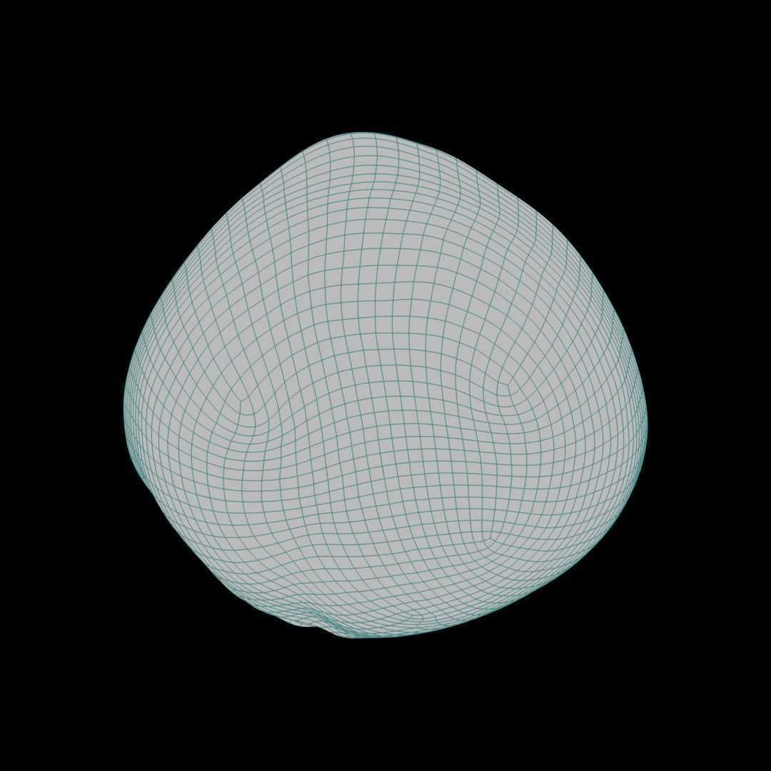 Macadamia Nut 3D model_8