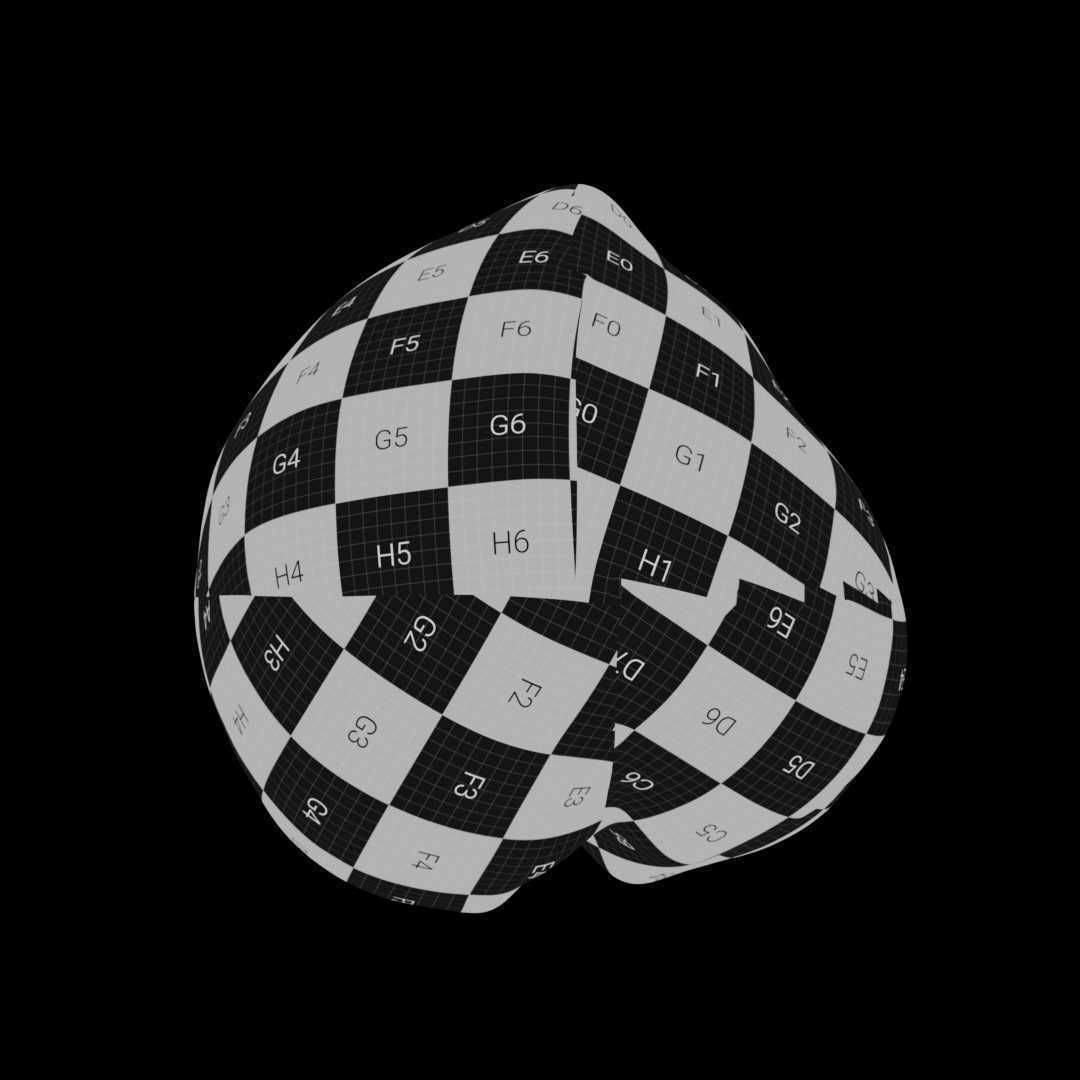 Macadamia Nut 3D model_9