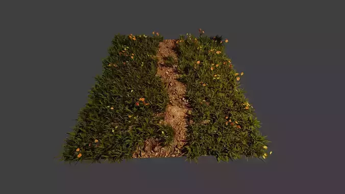 Grass with textured ground