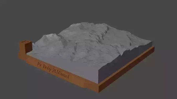 Pic Boby 3D print model