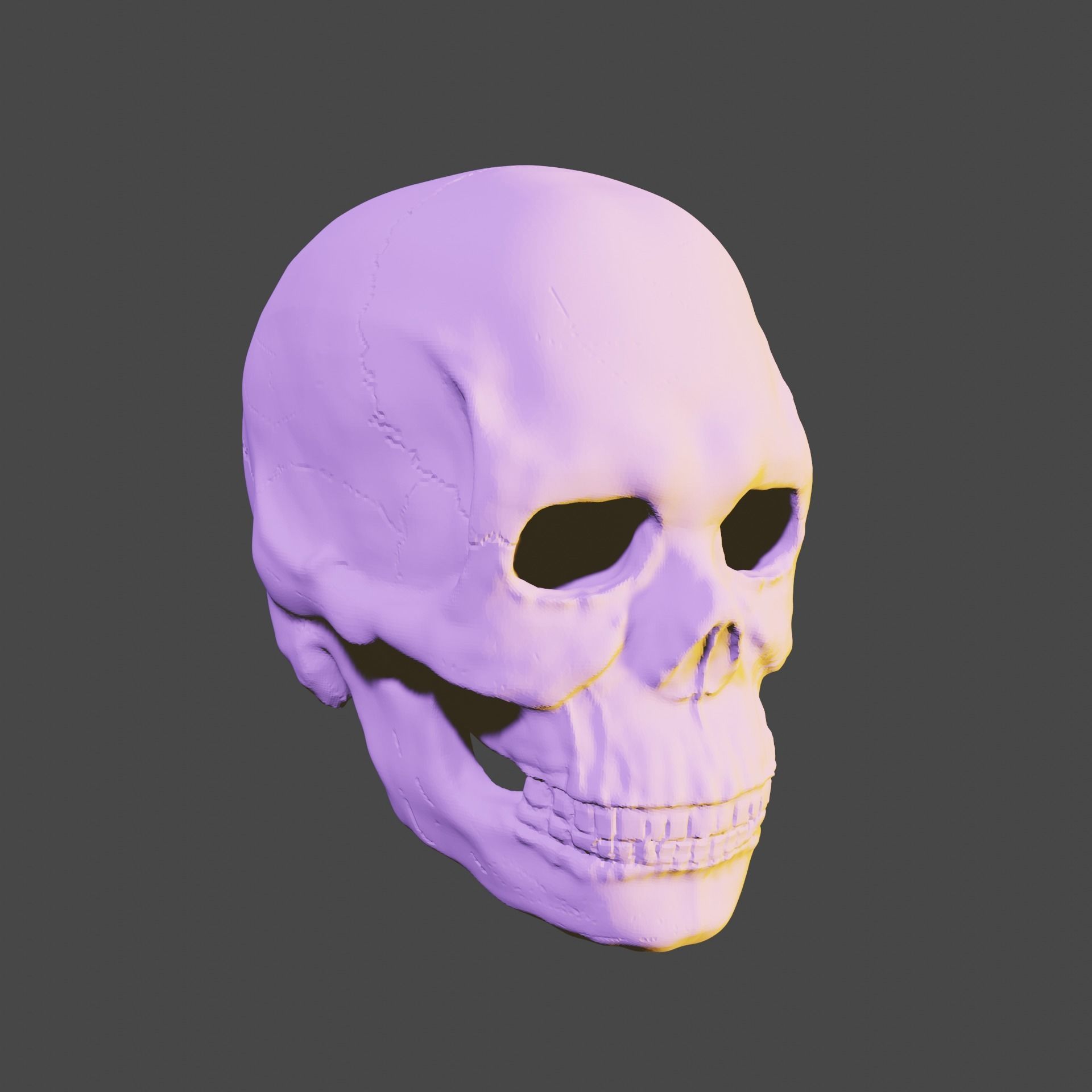 Bone skull PBR high-poly game-ready Low-poly 3D model_5