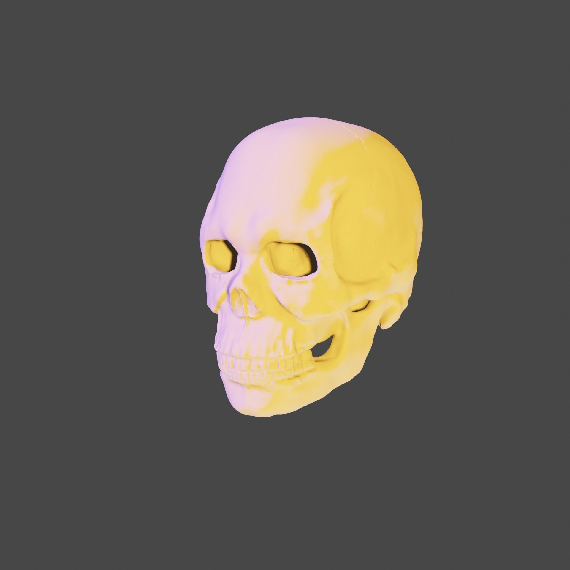 Bone skull PBR high-poly game-ready Low-poly 3D model_2