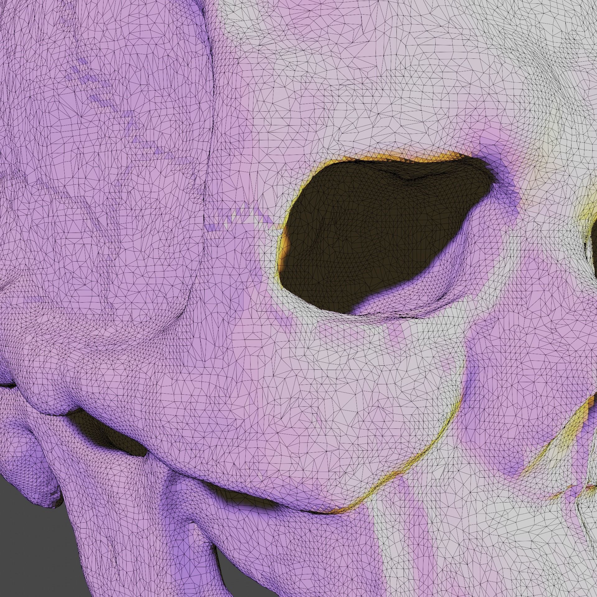 Bone skull PBR high-poly game-ready Low-poly 3D model_6