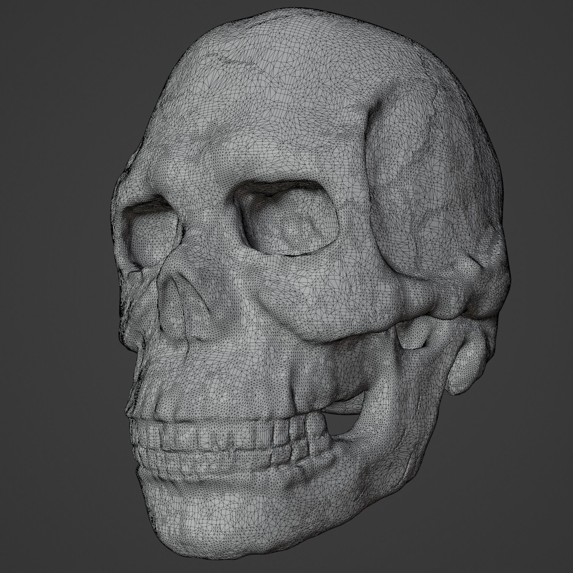 Bone skull PBR high-poly game-ready Low-poly 3D model_7
