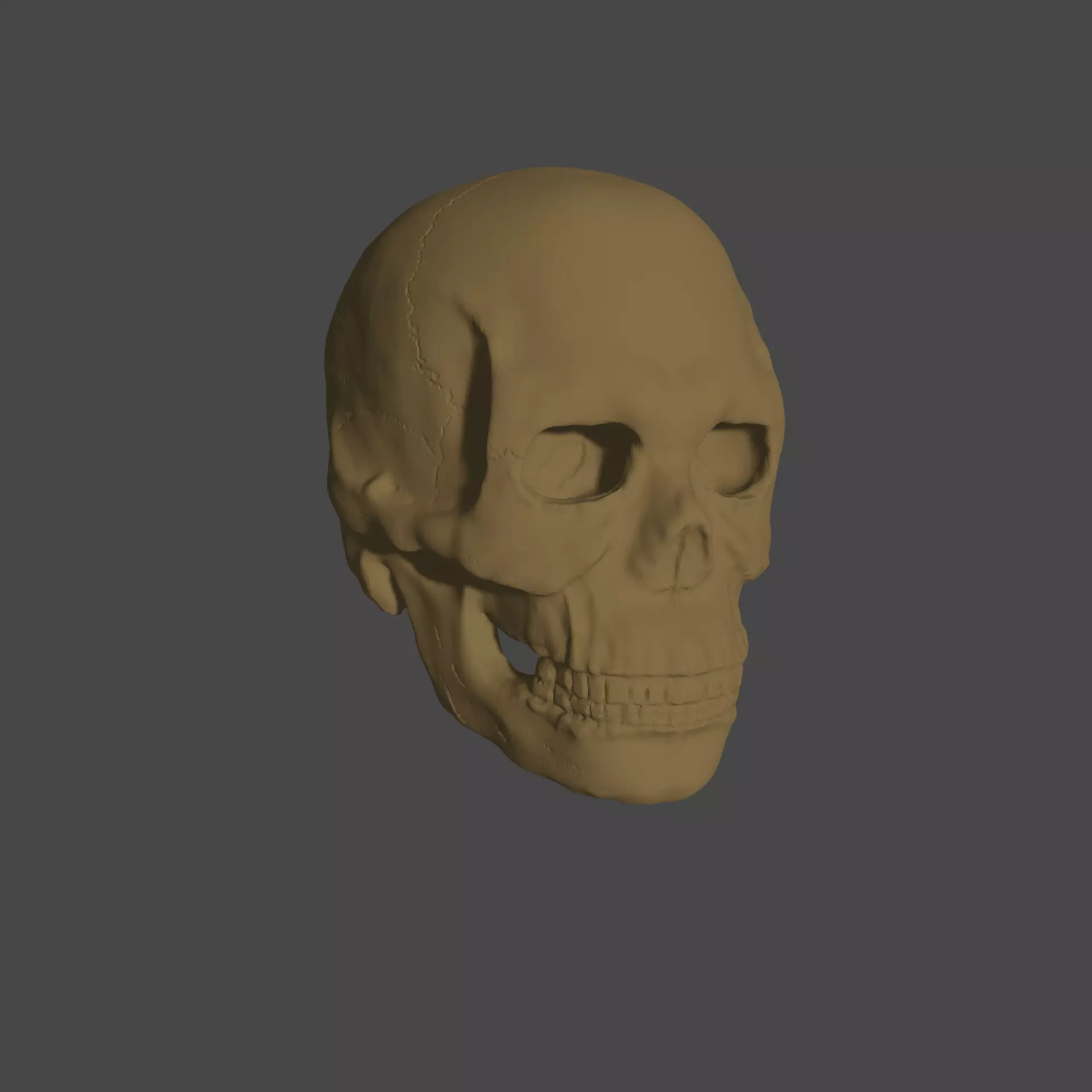 Bone skull PBR high-poly game-ready Low-poly 3D model_0