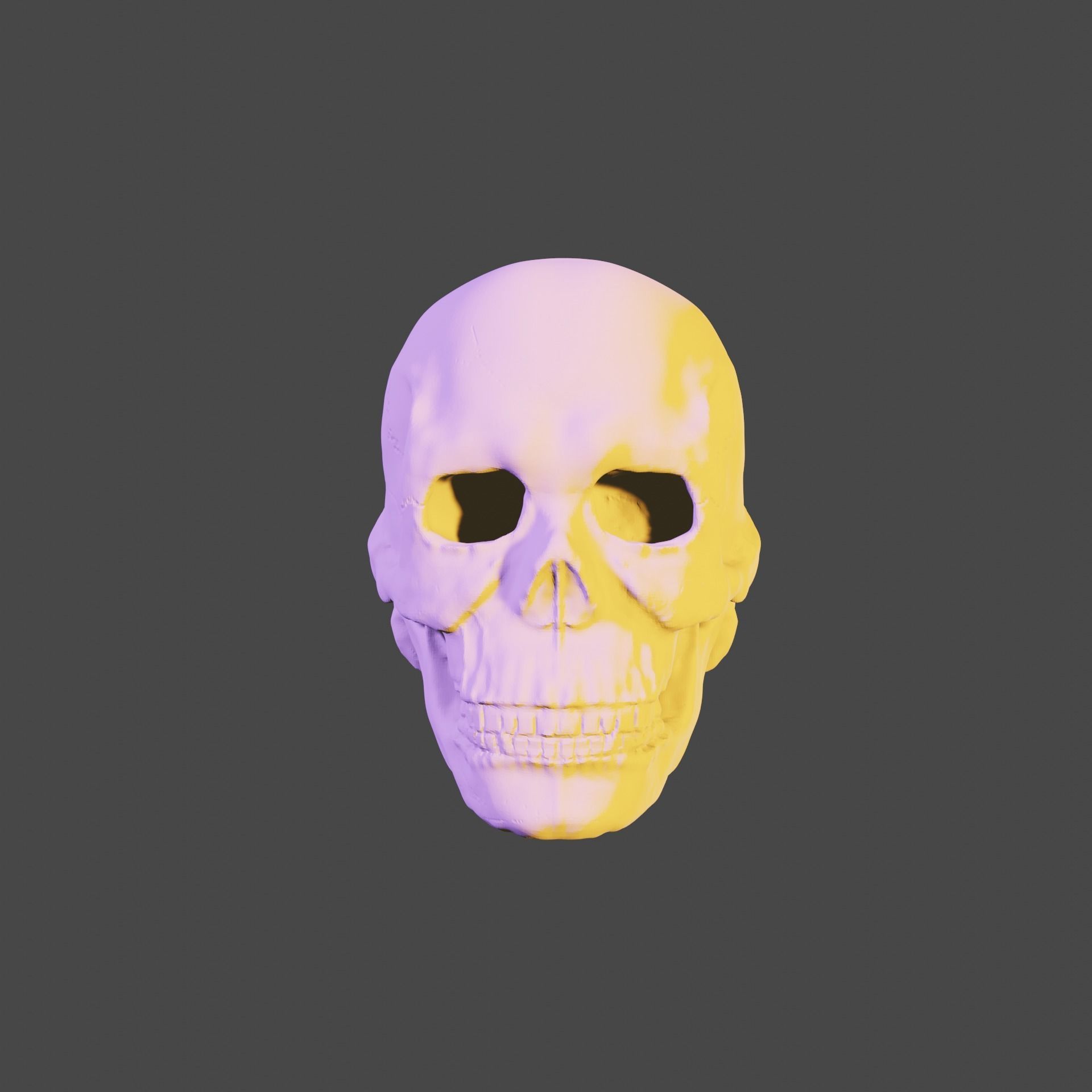 Bone skull PBR high-poly game-ready Low-poly 3D model_1