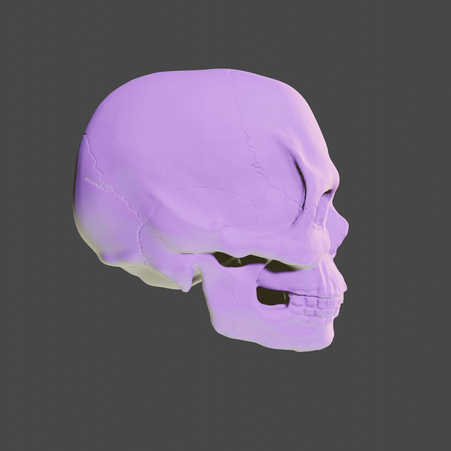 Bone skull PBR high-poly game-ready Low-poly 3D model_4