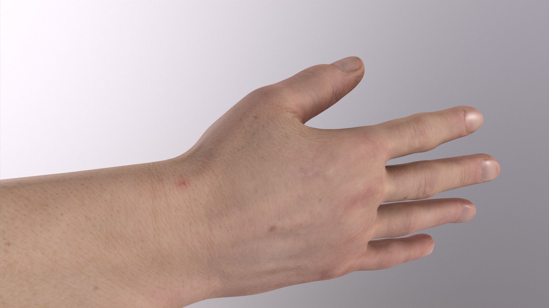 Human Hand 3D model_6