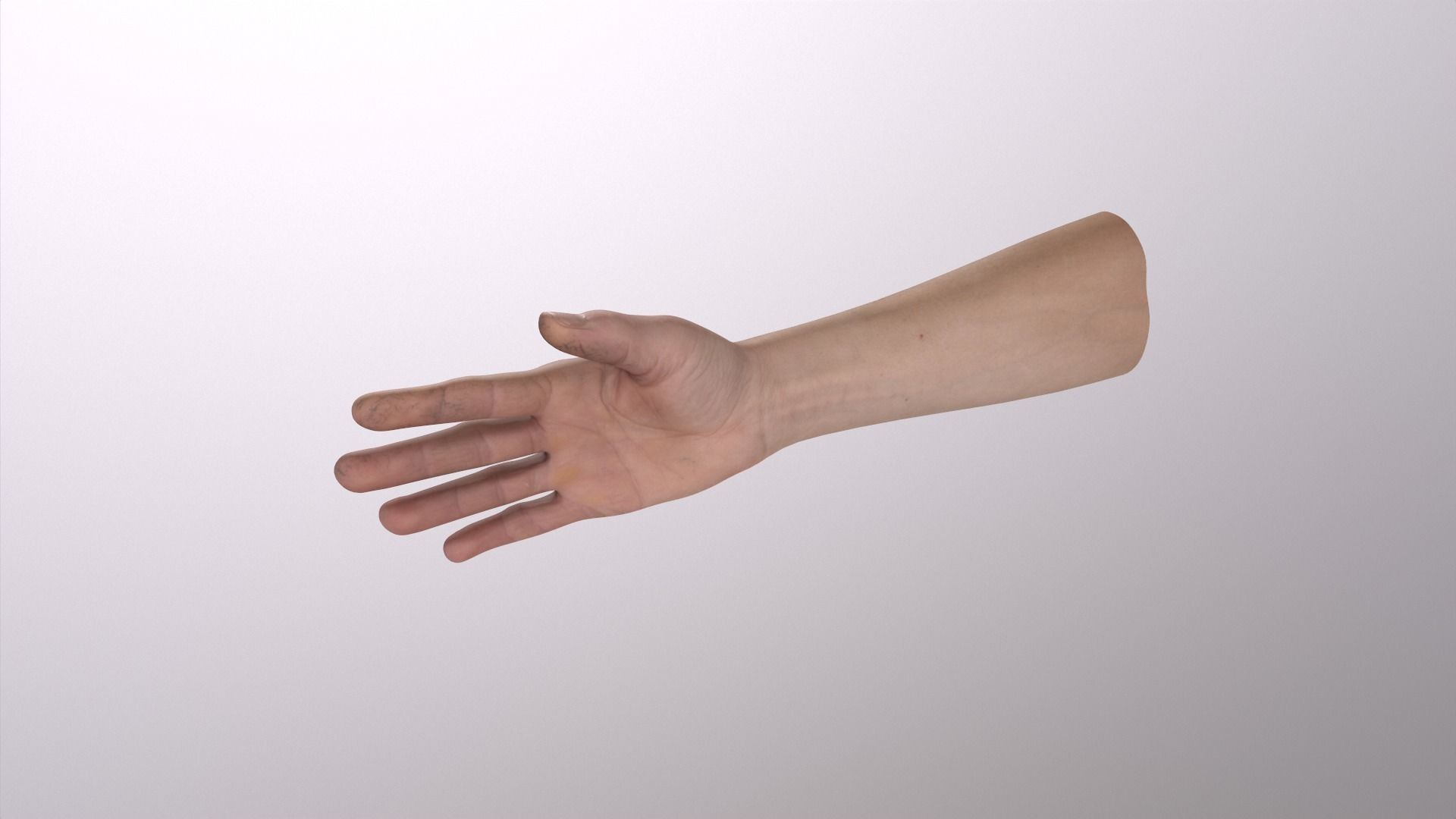 Human Hand 3D model_5