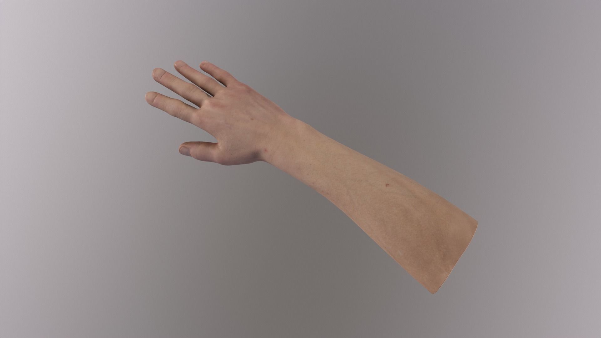 Human Hand 3D model_3