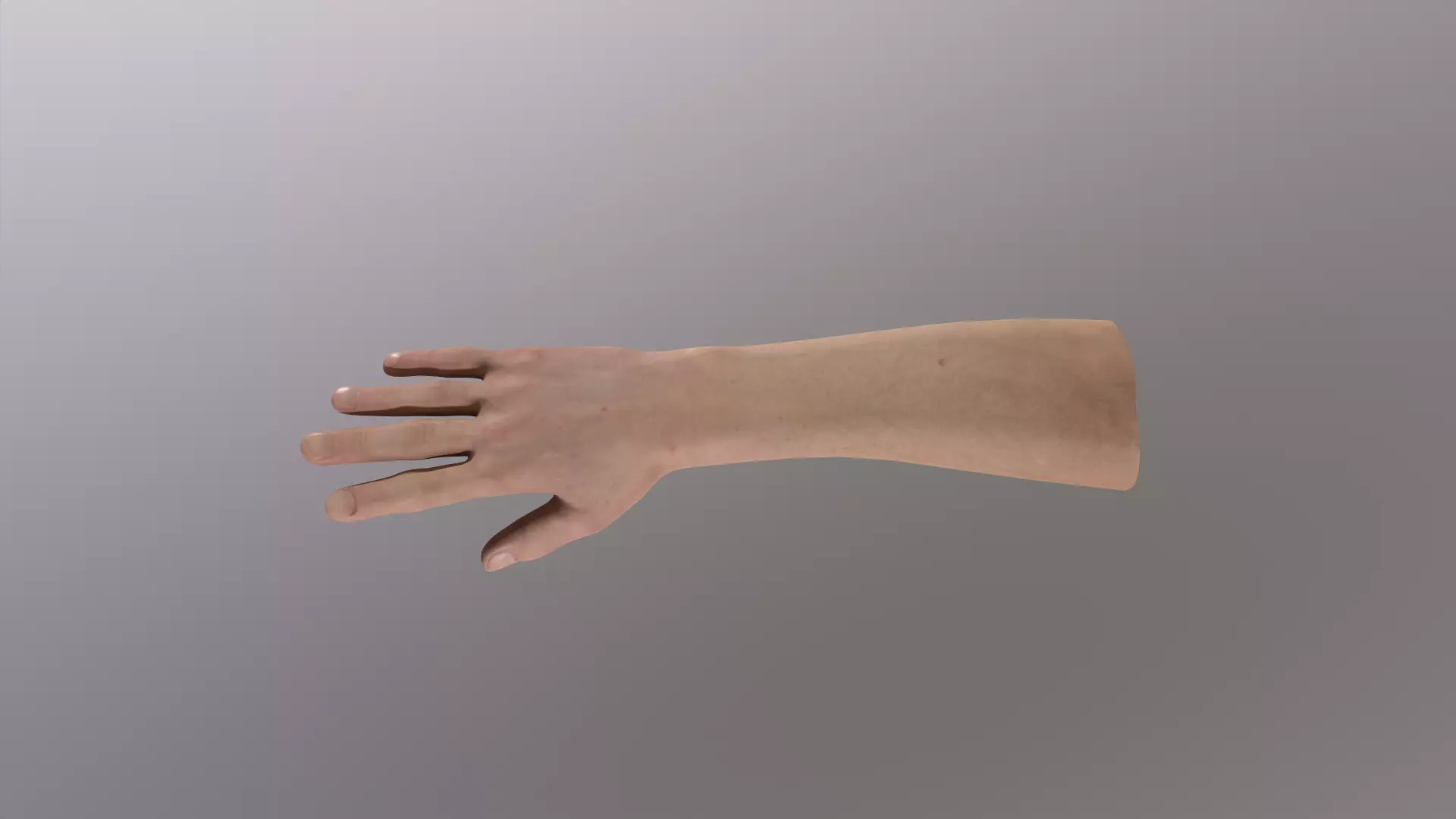 Human Hand 3D model_0