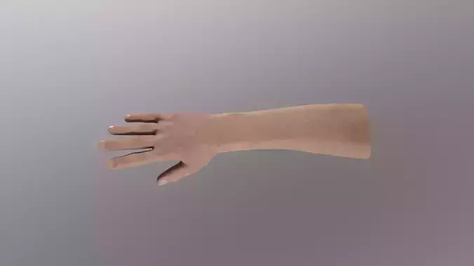 Human Hand