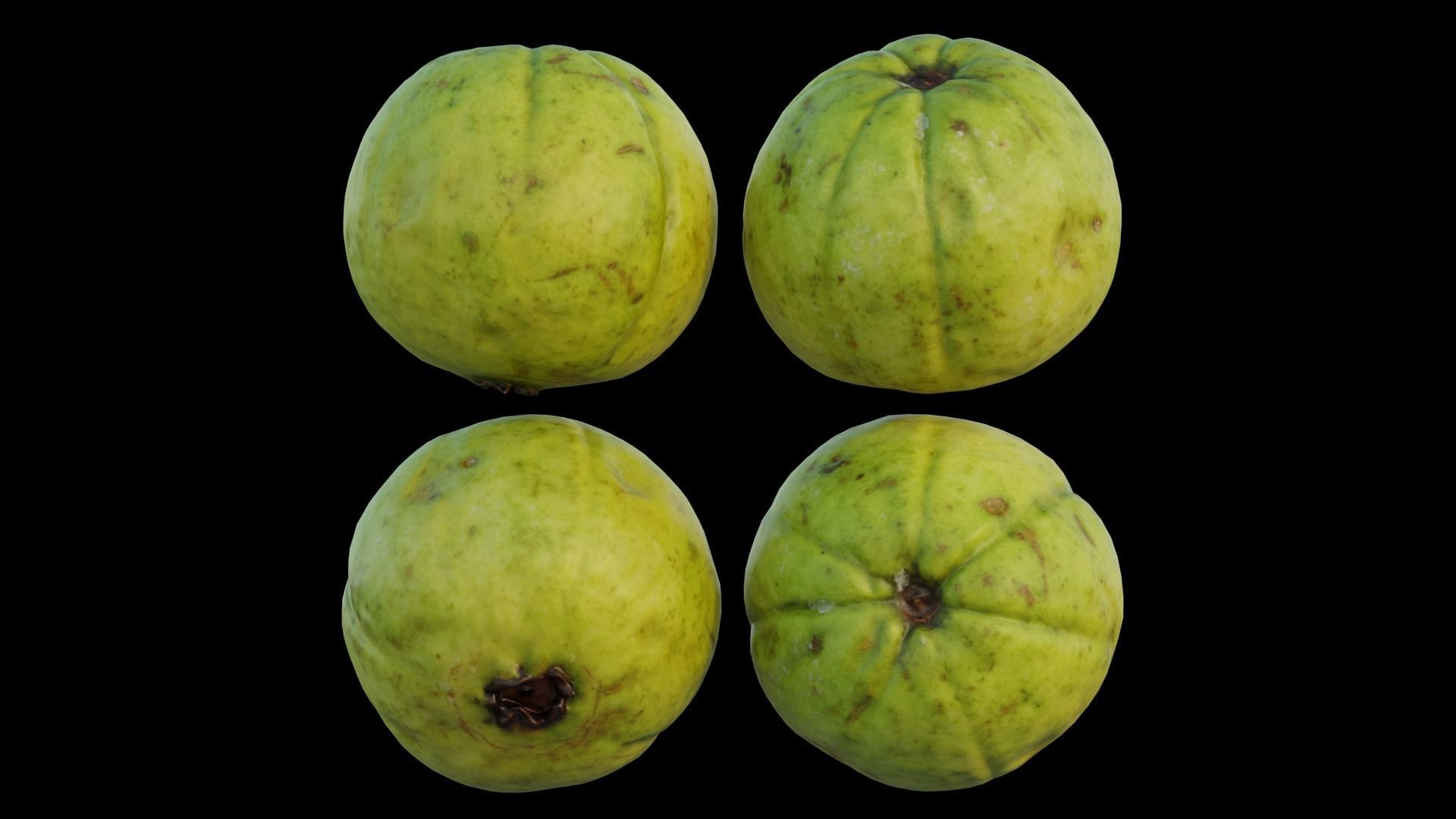 Guava 03 3D model_15