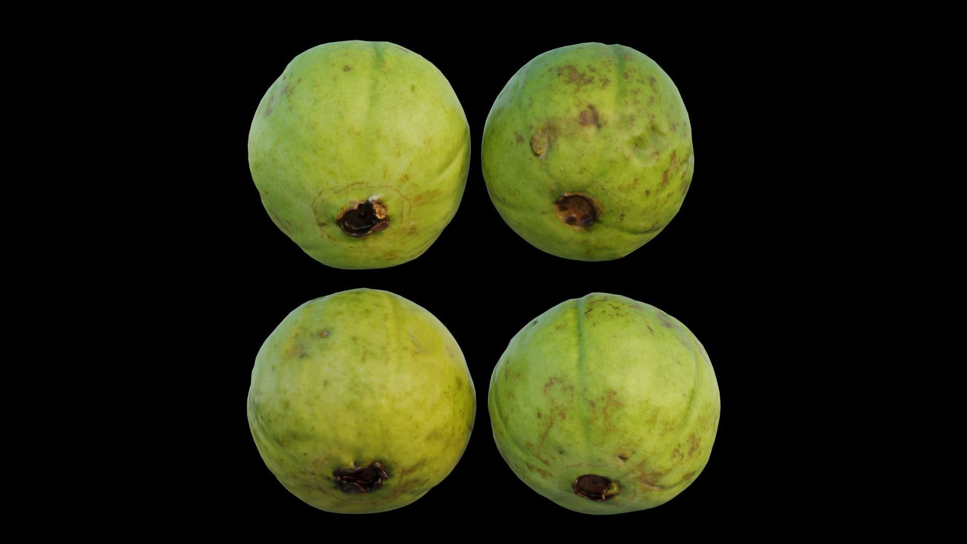 Guava 03 3D model_12