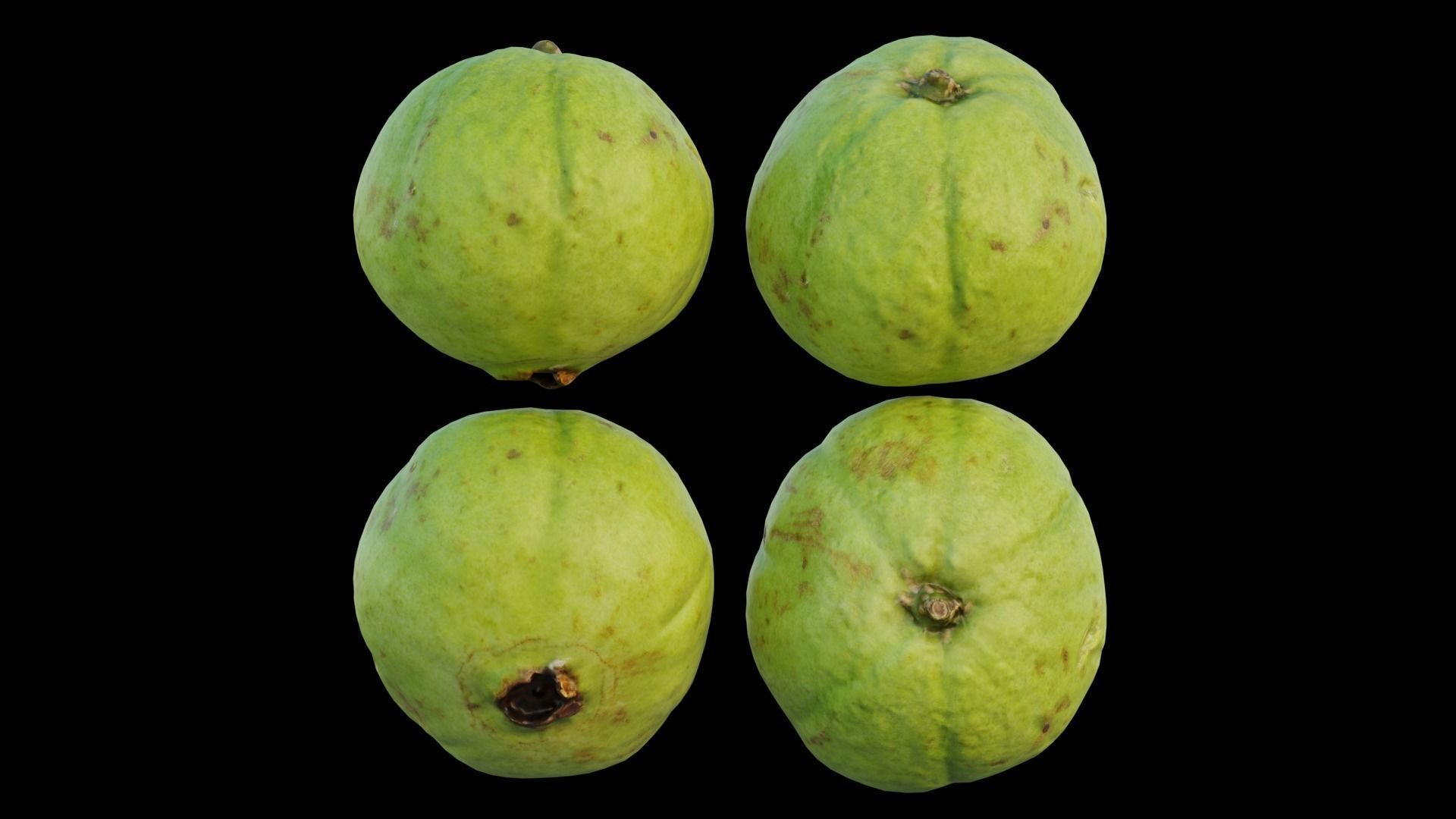 Guava 03 3D model_13