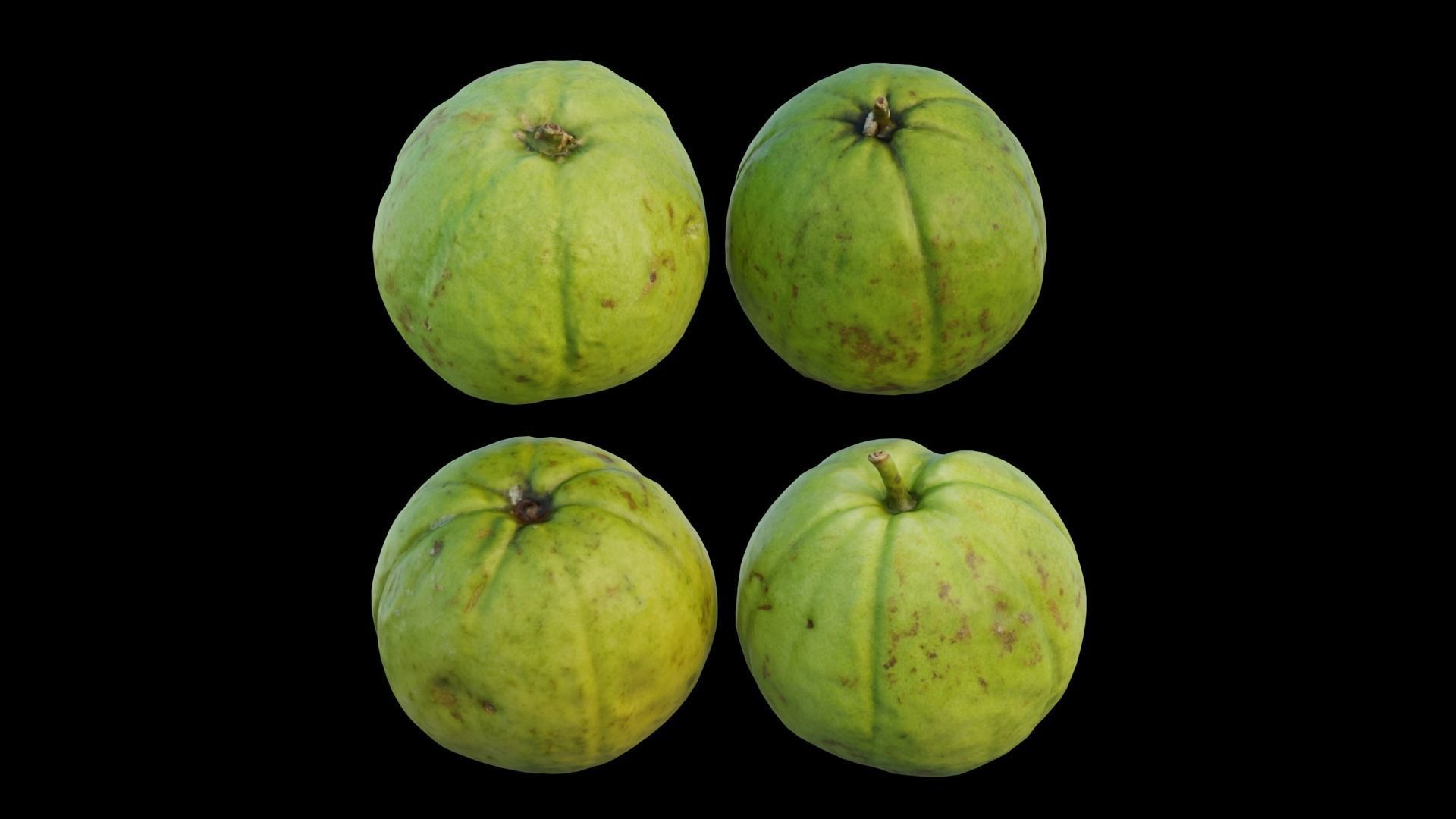 Guava 03 3D model_11