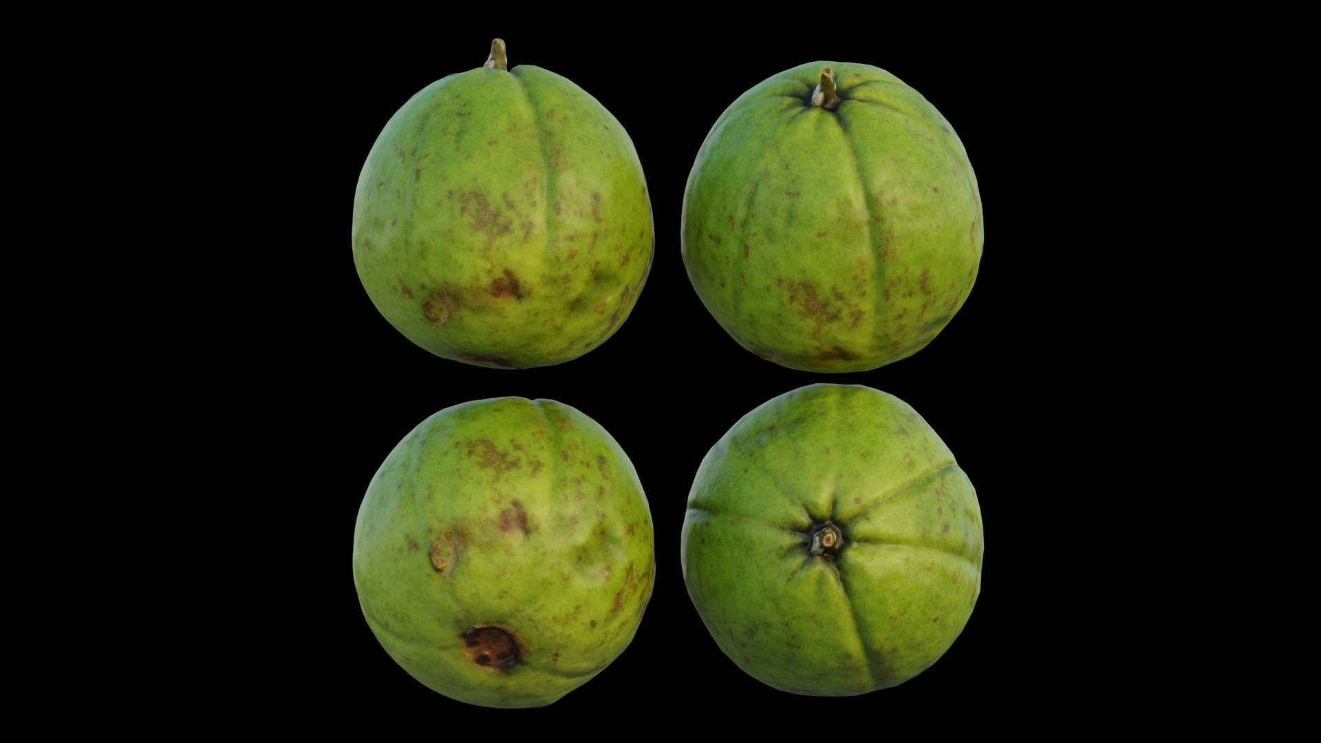 Guava 03 3D model_14