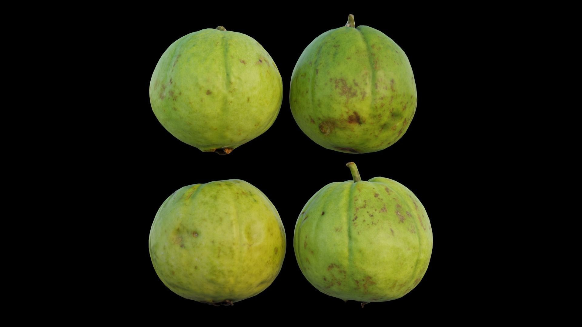 Guava 03 3D model_10