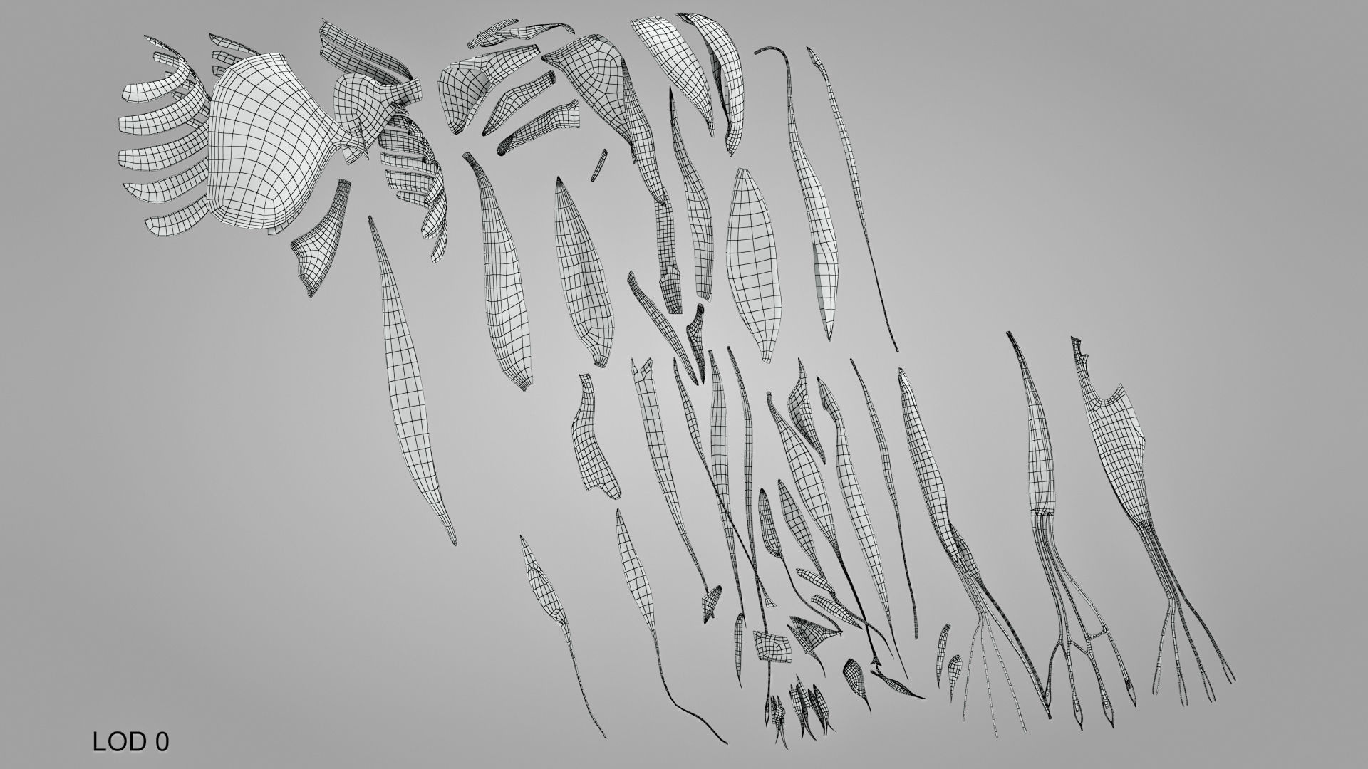 Complete Human Arm Anatomy Low-poly 3D model_22