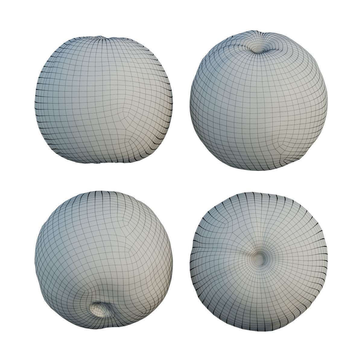 Guava 04 3D model_8