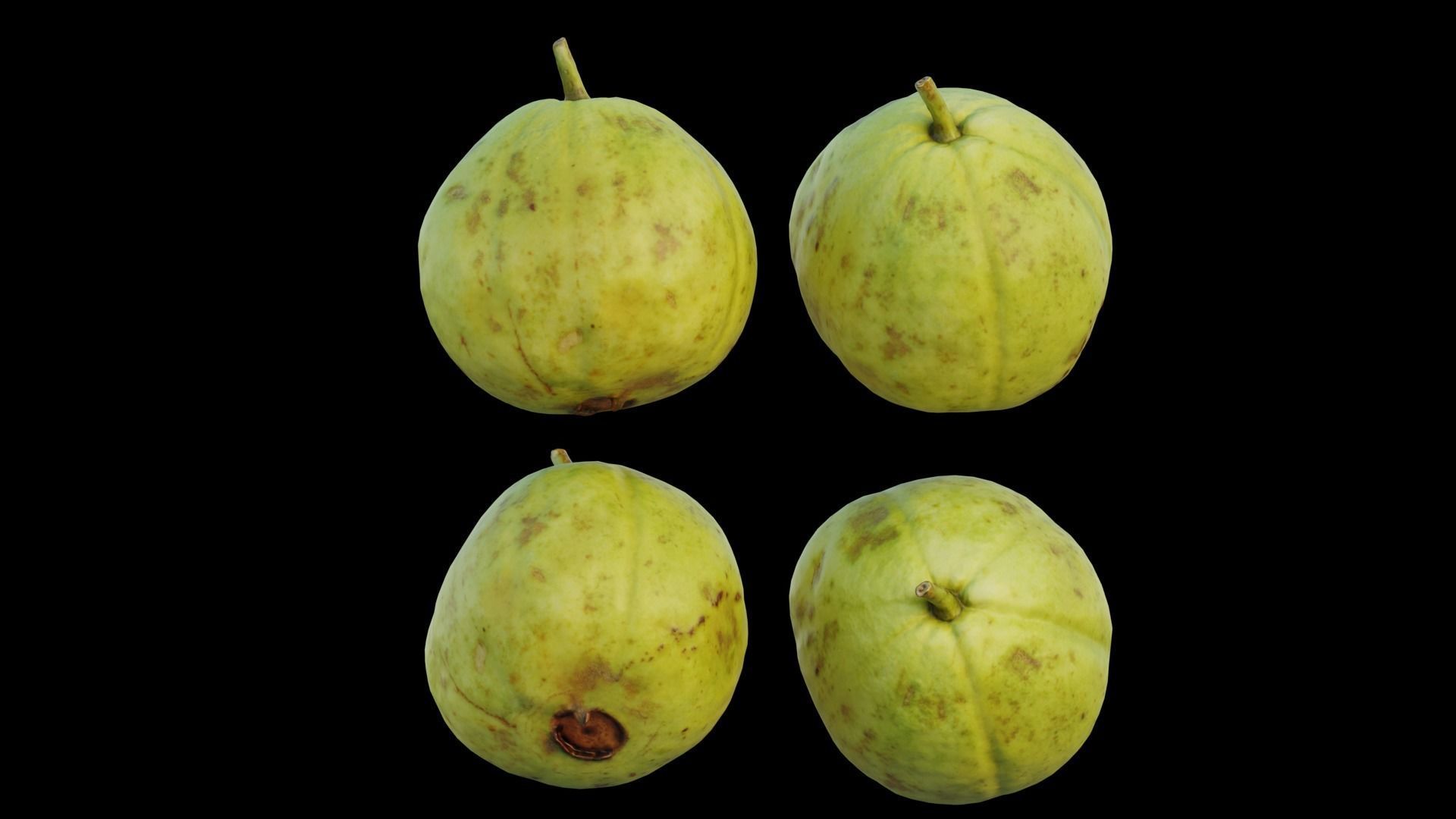 Guava 04 3D model_16