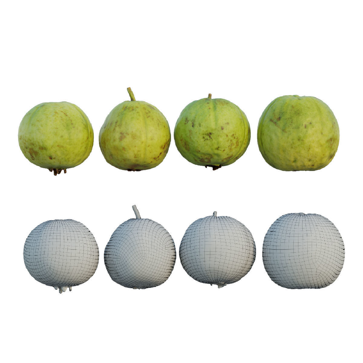 Guava 04 3D model_1