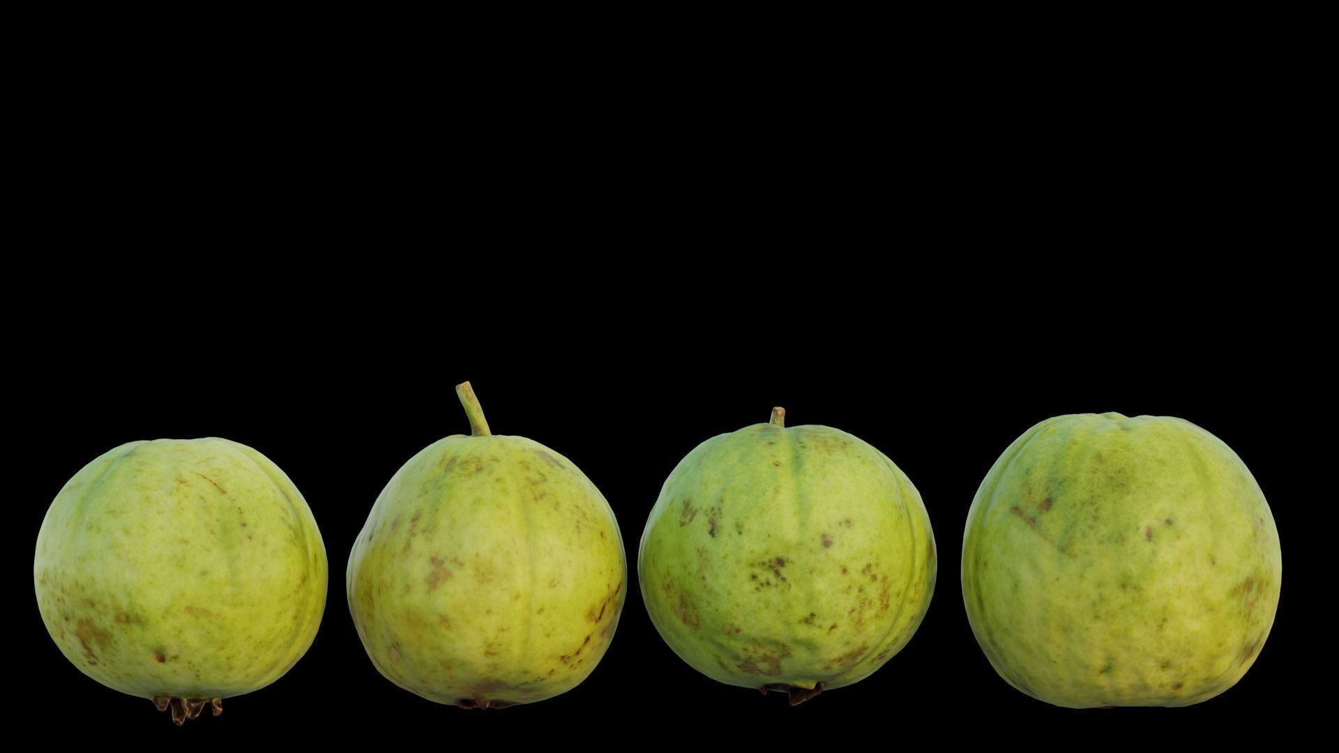 Guava 04 3D model_10