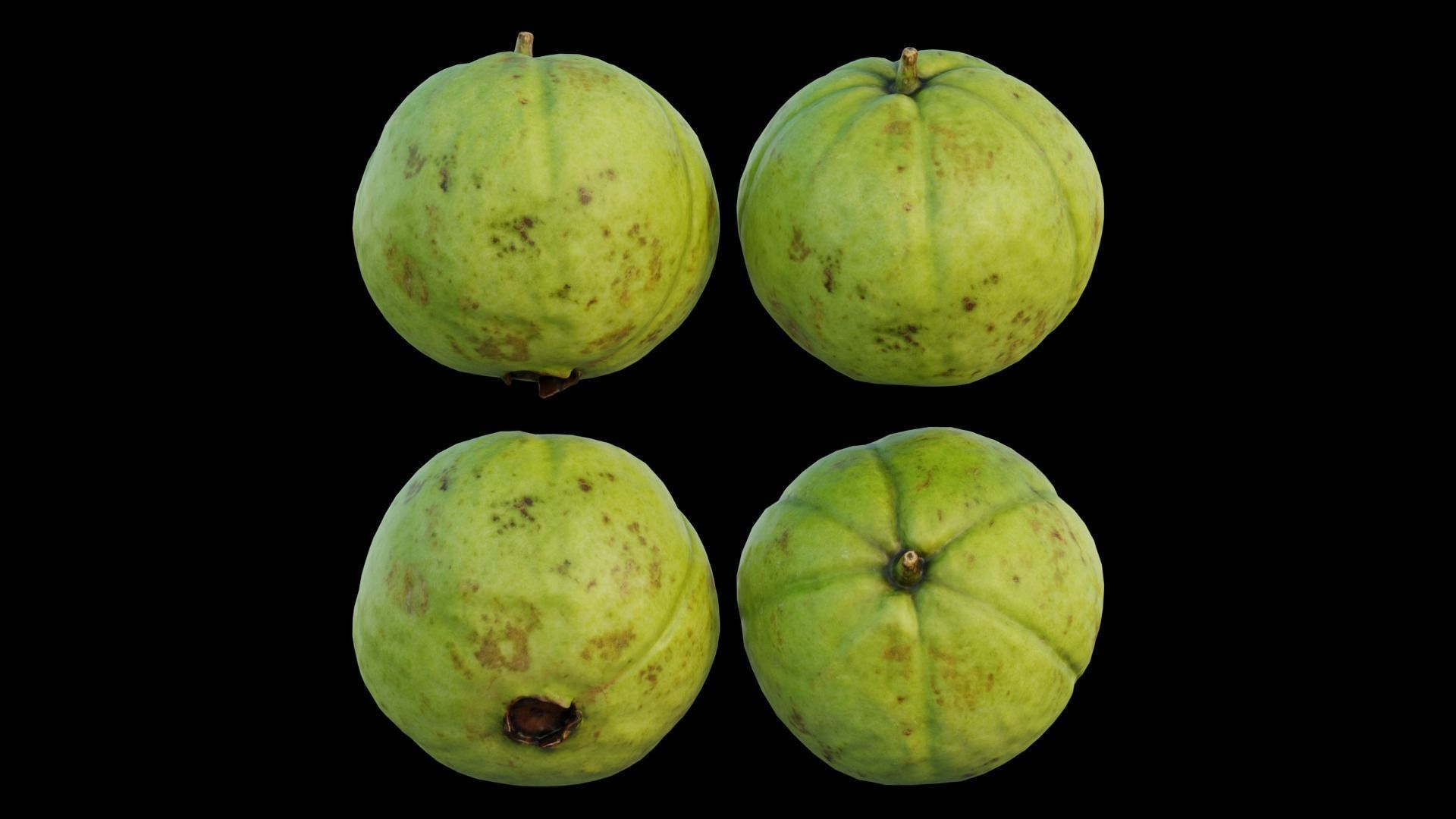 Guava 04 3D model_17