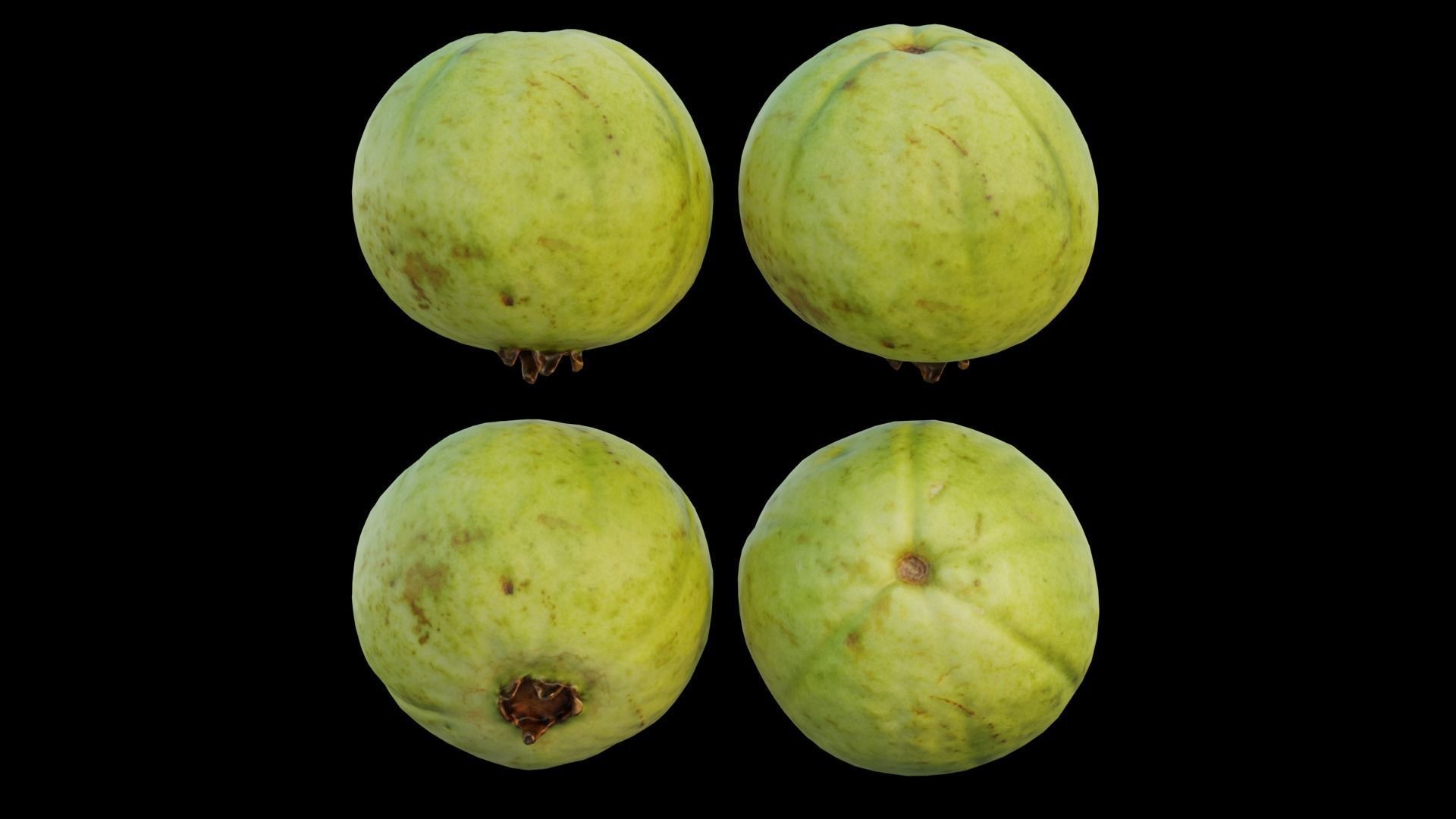 Guava 04 3D model_15