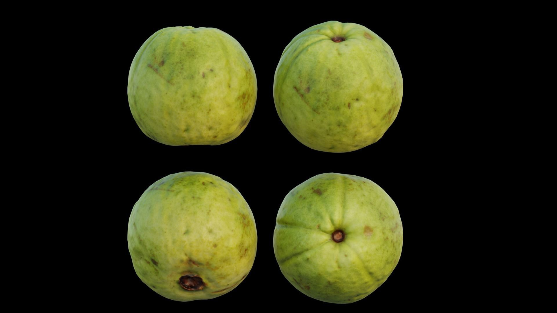 Guava 04 3D model_18