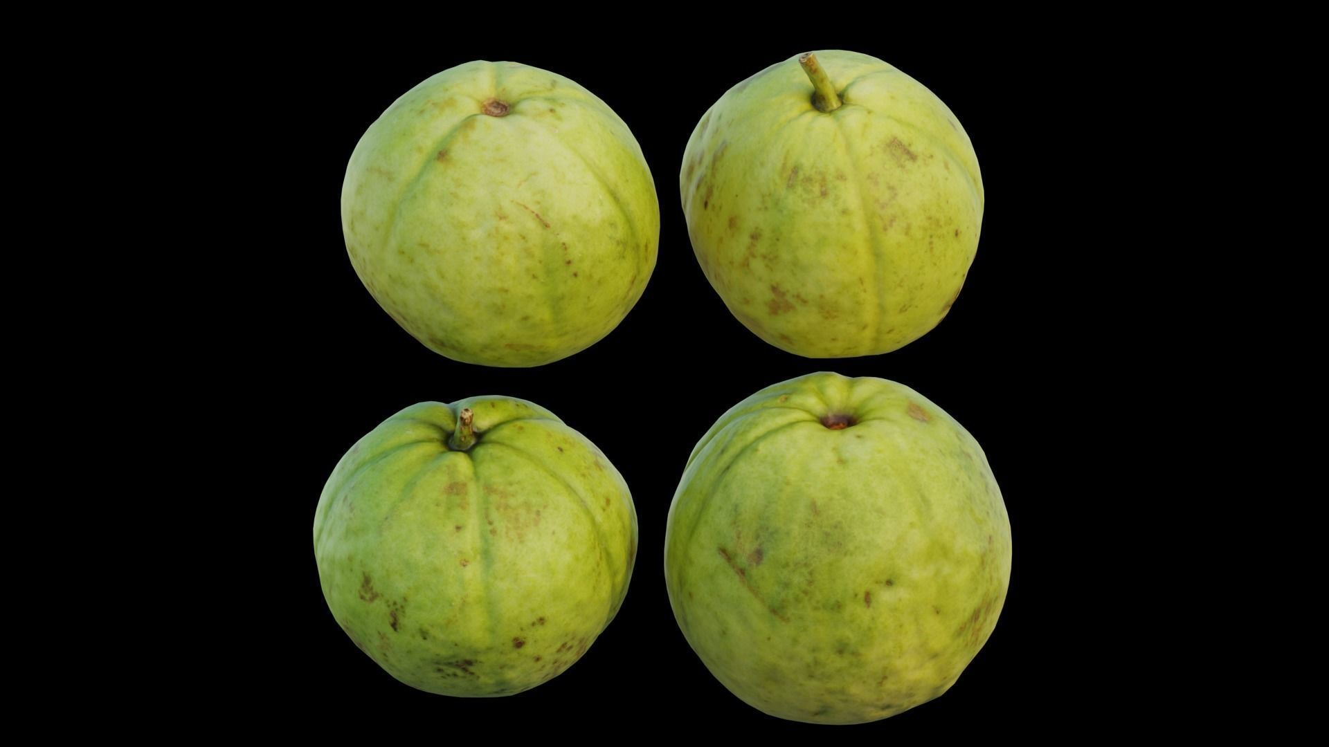 Guava 04 3D model_13