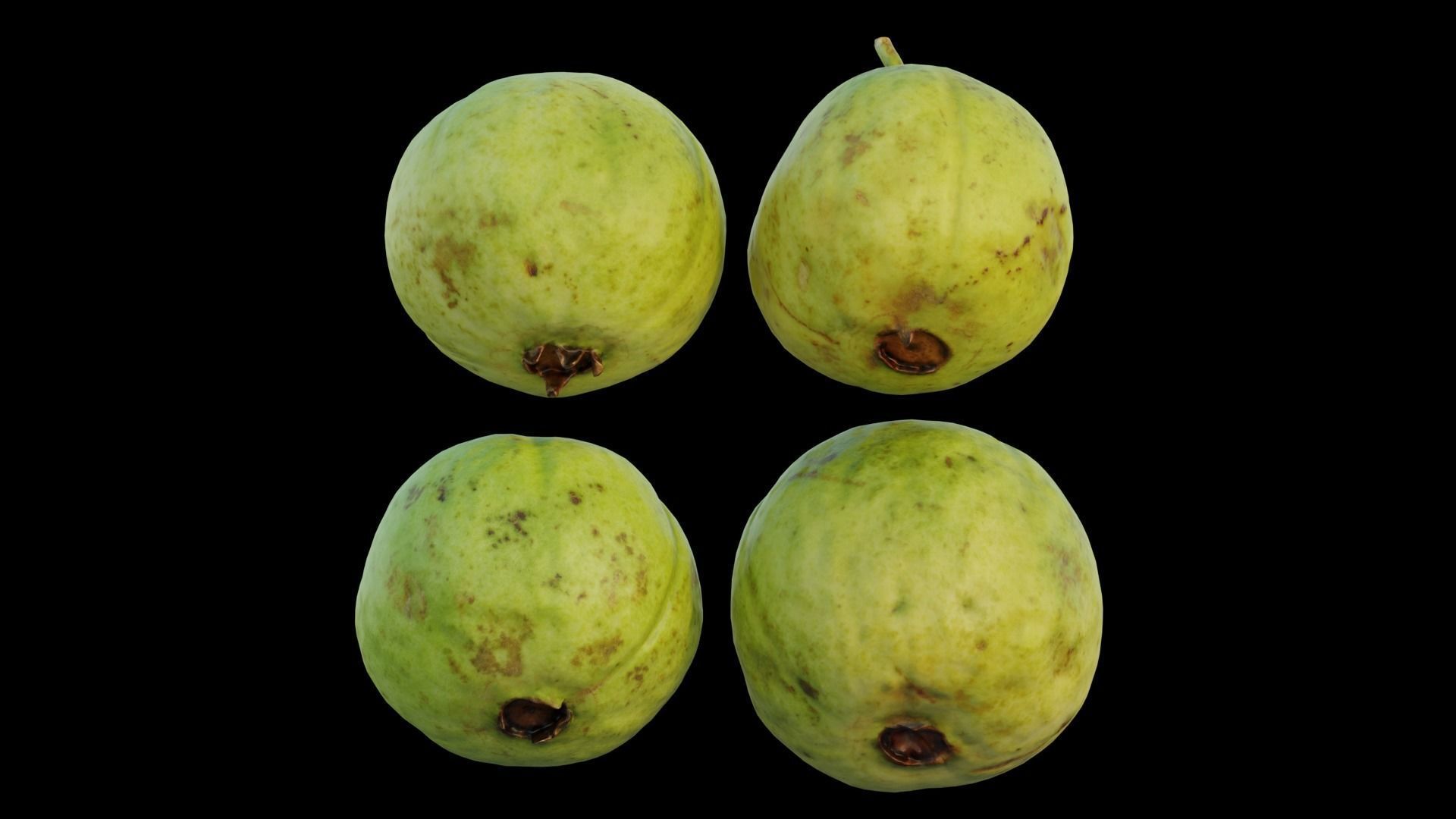 Guava 04 3D model_14