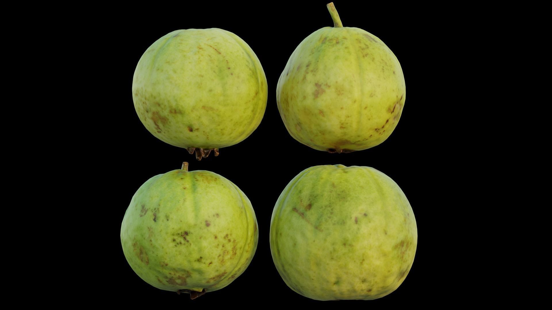 Guava 04 3D model_12