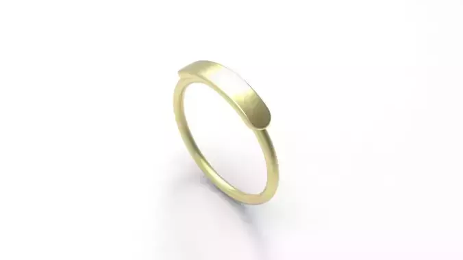 Signet ring writable model