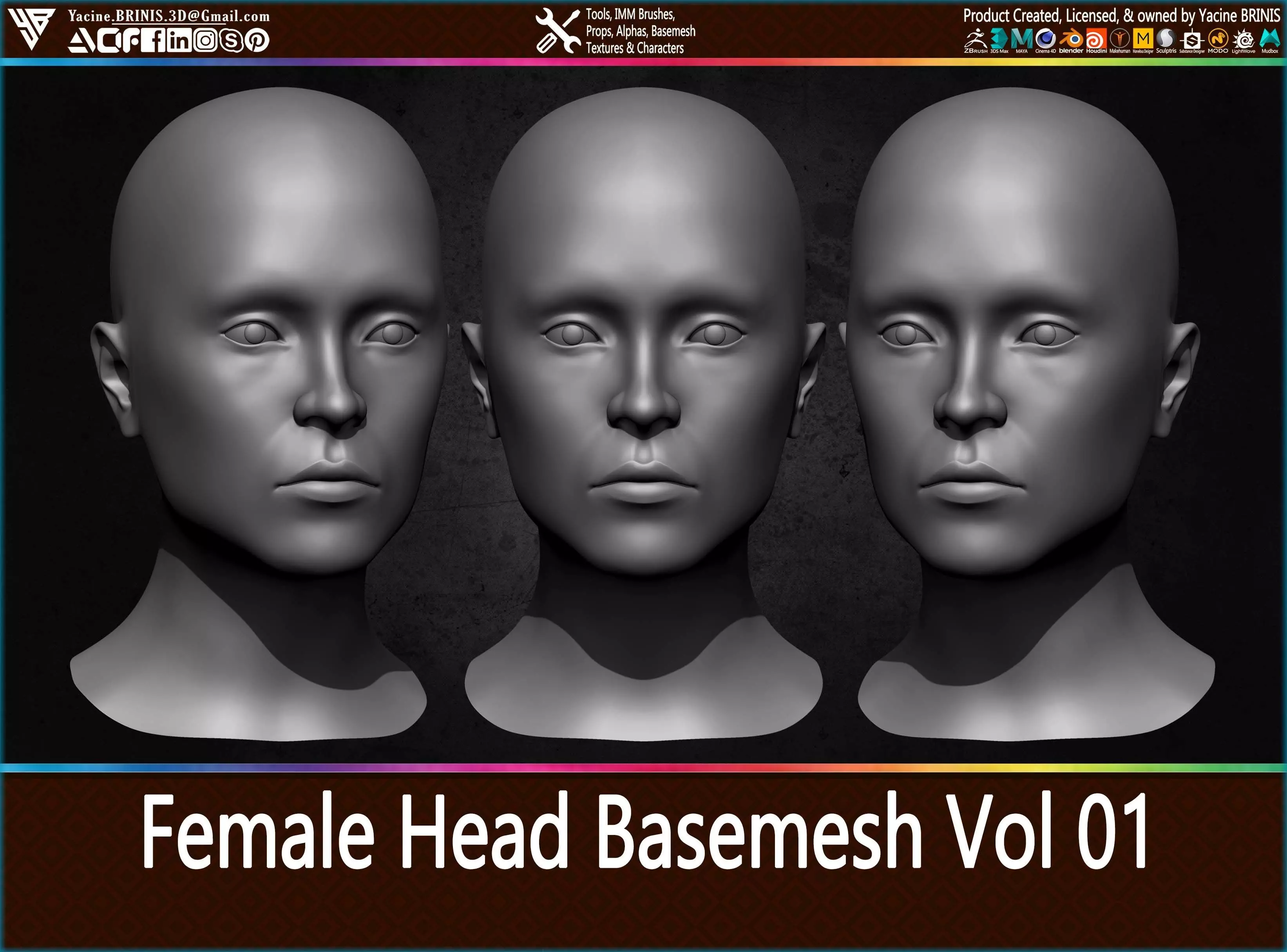 Female Head Basemesh Vol 01 Low-poly 3D model_0
